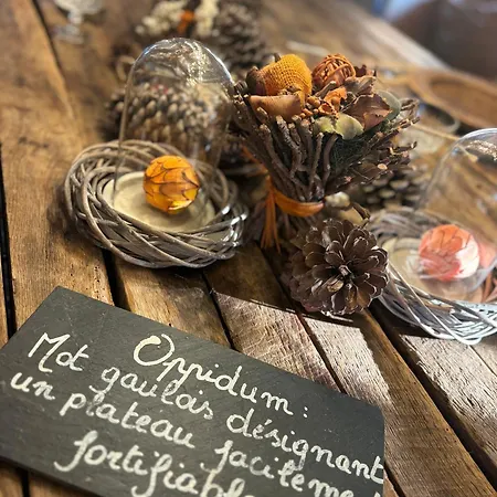 Thermes Oppidum * 테욱스