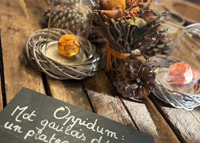 Thermes Oppidum * טהאו